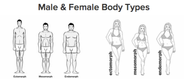 Which Body Type Are You The Abc S Of A Healthy Lifestyle